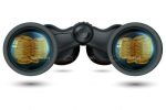 Pair of Binoculars with Gold Coins
